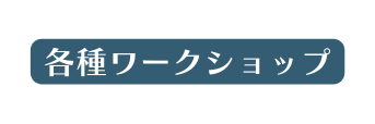 各種ワークショップ